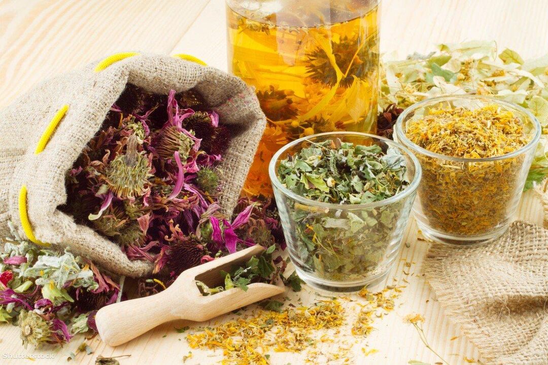 Medicinal plants for the folk therapy of elbow psoriasis